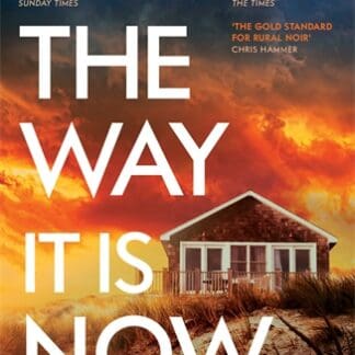 The Way It Is Now (B Format Paperback)